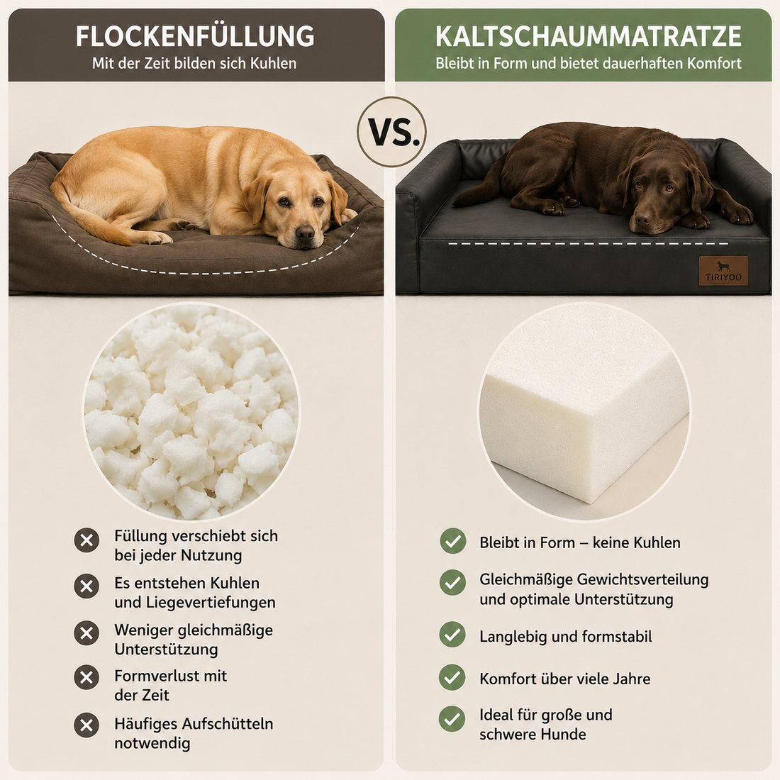 Das richtige Hundebett für große und schwere Hunde: Warum Matratzen langlebiger sind als Flockenfüllungen
