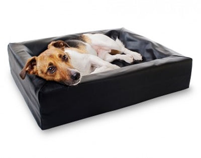 Bia Bett Hundekorb Orthopädisch Schwarz