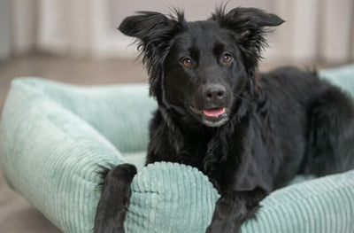 Trixie Hundekorb Vital Jonna Gerippter Samt Salbeigrün